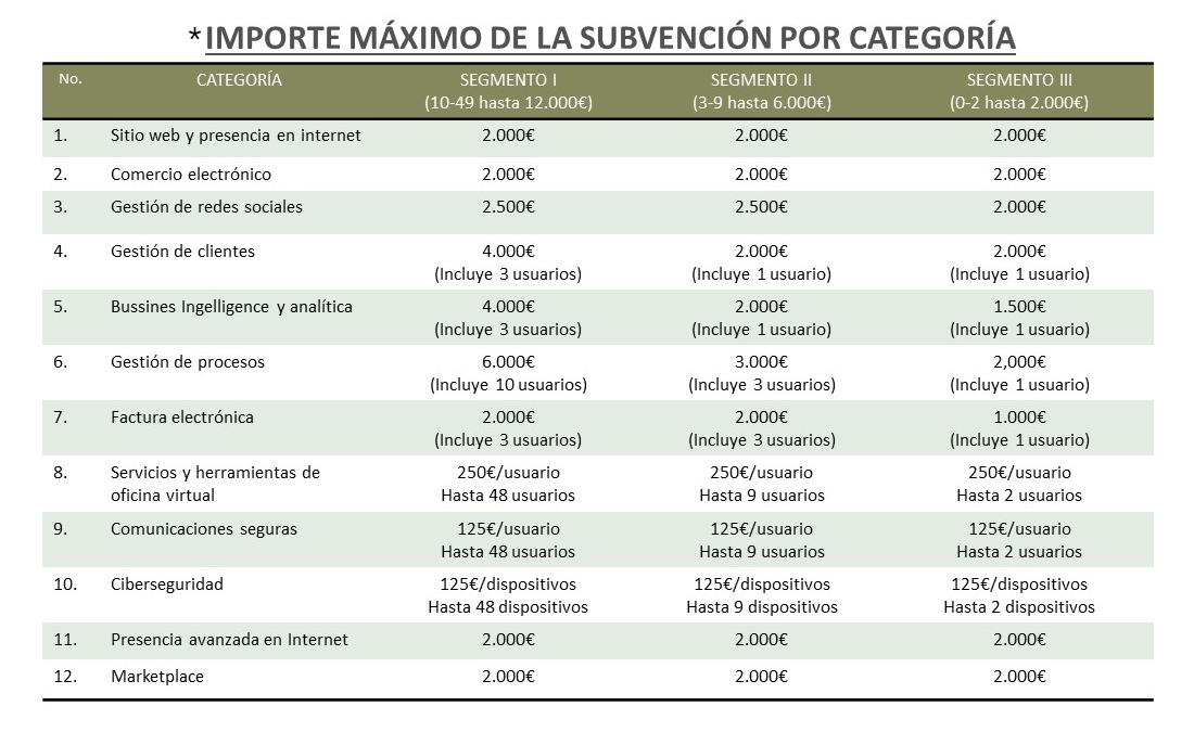 adi-gestiona_gestoria_gestion-tramitacion-subvenciones_madrid-espana_servicios_kit-digital-3